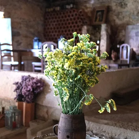 公寓 Quinta Maria Gil - B *