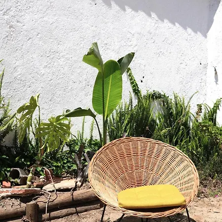 דירה Quinta Maria Gil - B *