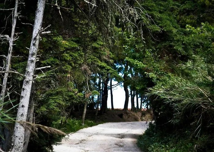 Quinta Maria Gil - B דירה *