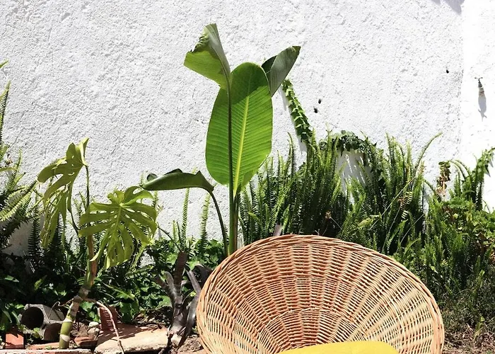 דירה Quinta Maria Gil - B *